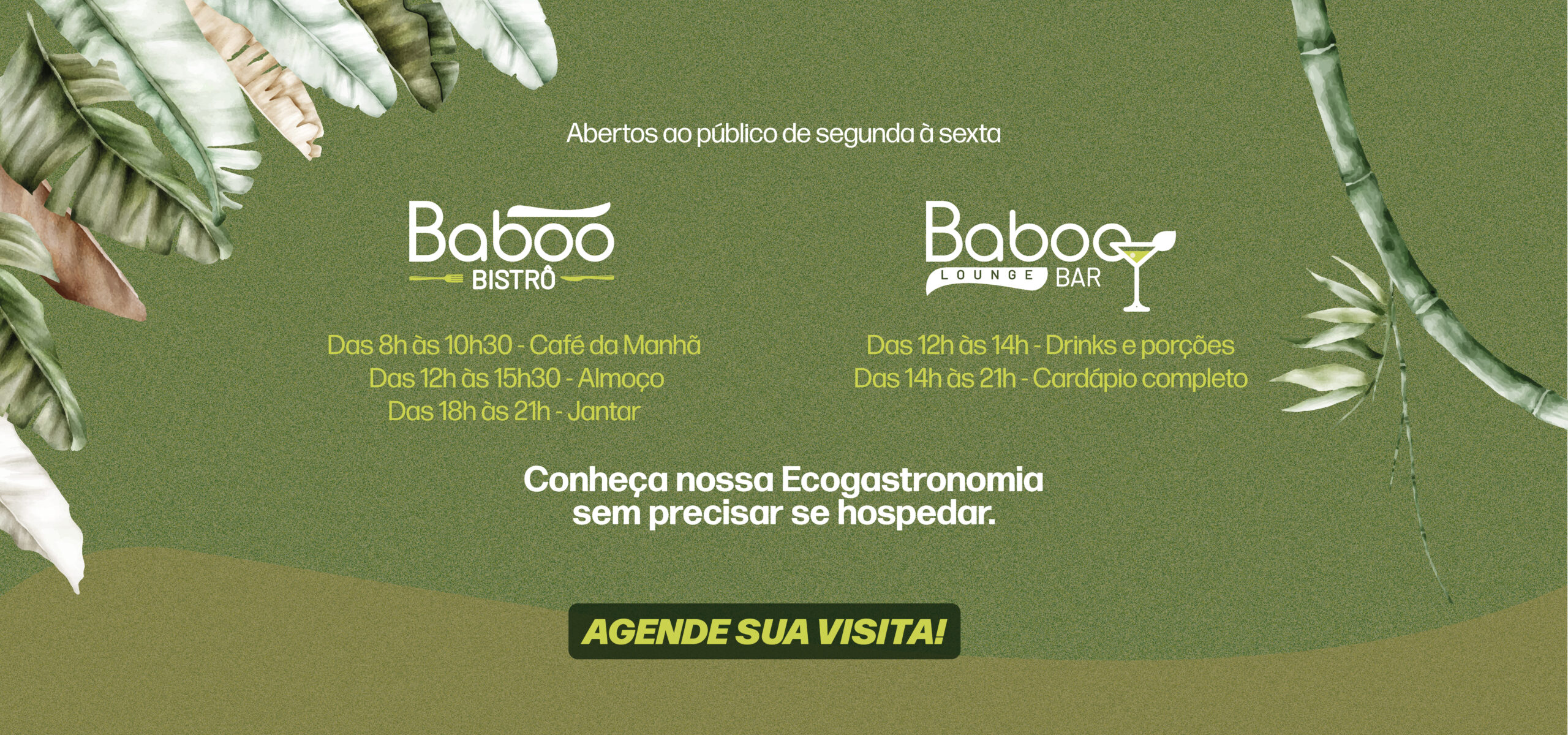 Banners Site4